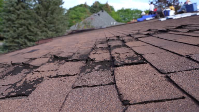 Best Tile Roofing Installation  in Alexandria, VA