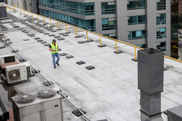 Best Roof Ventilation Installation  in Alexandria, VA