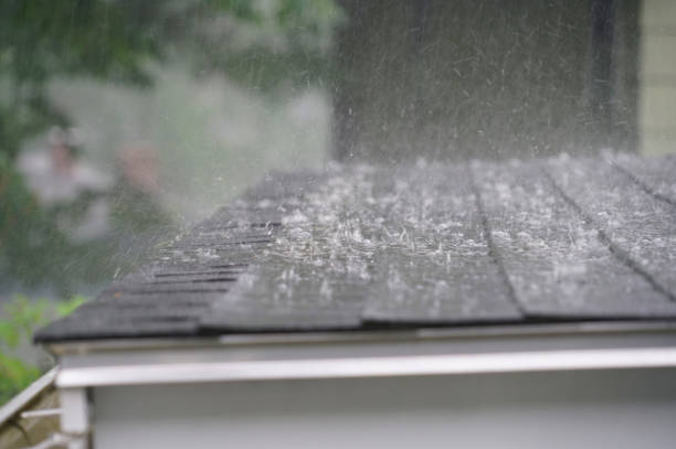 Best Gutter Installation and Repair  in Alexandria, VA